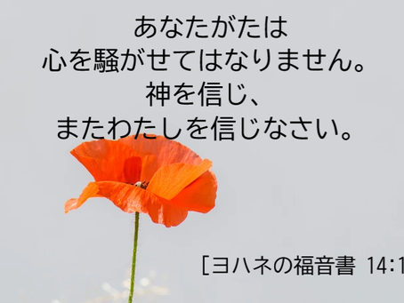 心配しないでください