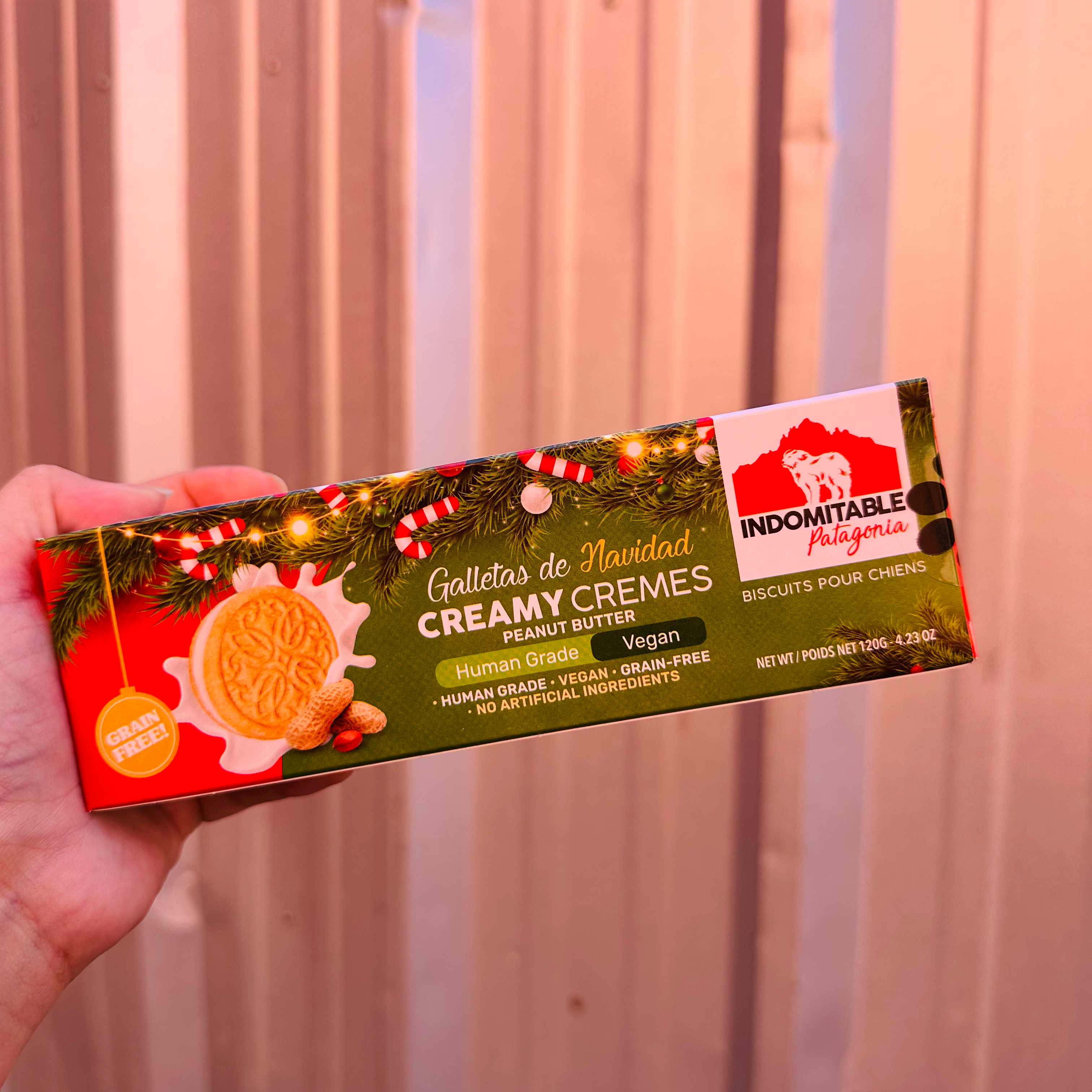 Galletas Creamy Peanut Butter 120gr