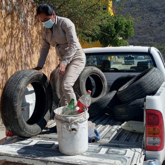 Anuncia SESA Jornada de la Lucha contra las Arbovirosis