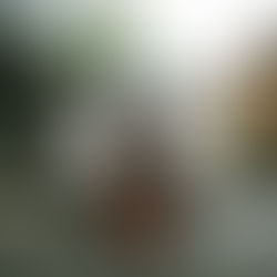 Vetz: La nueva voz del pop alternativo que conquista Miami