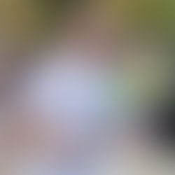 Municipio de Querétaro presente en el Querétaro Maratón