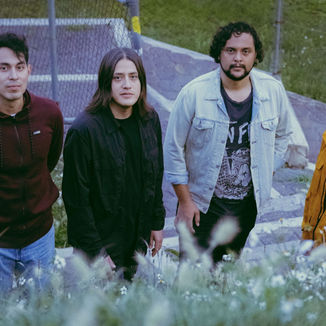 Celofán planea una gira a finales del primer semestre del año