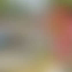 Corregidora prepara panteones municipales para las celebraciones de Día de Muertos