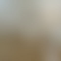 Alistan en el CEART exposición del oaxaqueño Francisco Toledo