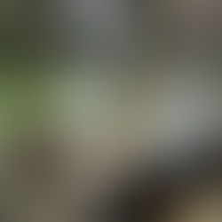 Sensibiliza SESA a promotores para fortificar la salud de la población escolar y adolescente