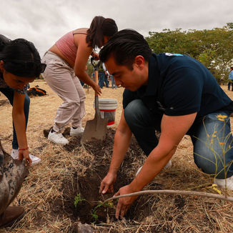 Impulsa Mpio. Qro. medidas de conservación y cuidado ambiental