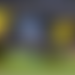 Querétaro 0-1 América