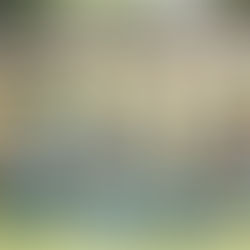 Querétaro presente en el concurso mundial de danza Hura Tapairu 2023