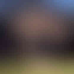 colonel cemetery park