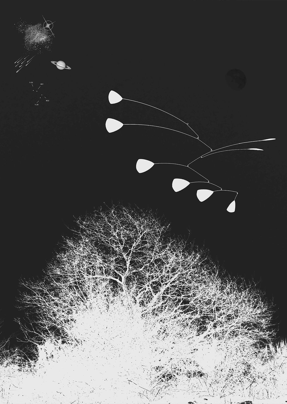 Hommage Calder et ses mobiles