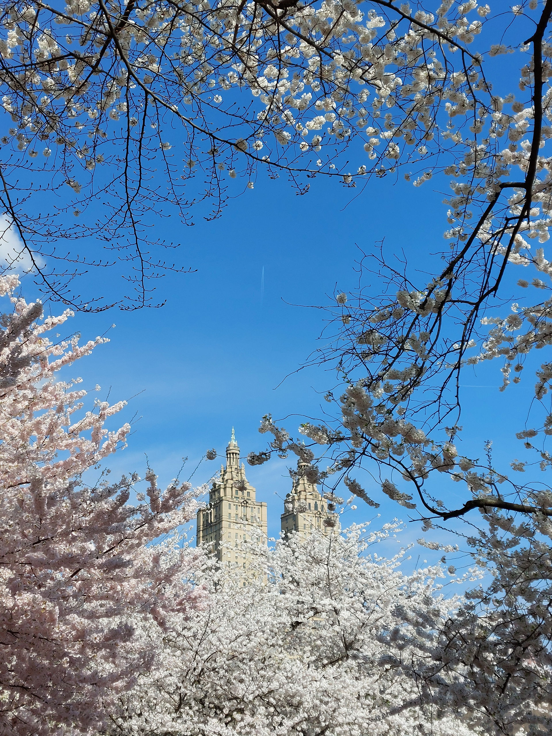 New York, central Park