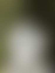 Un magnifique cadran solaire près du pavillon chinois