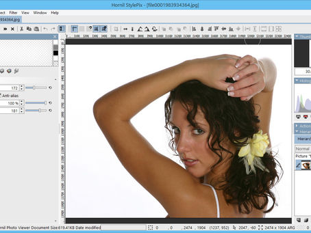 Hornil StylePix Pro Free [Latest]