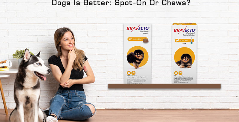 Bravecto Chewable vs Bravecto Topical: Which Flea & Tick Treatment Is Best for Your Pet?