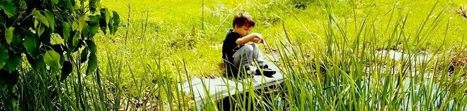 Here comes the Sun…