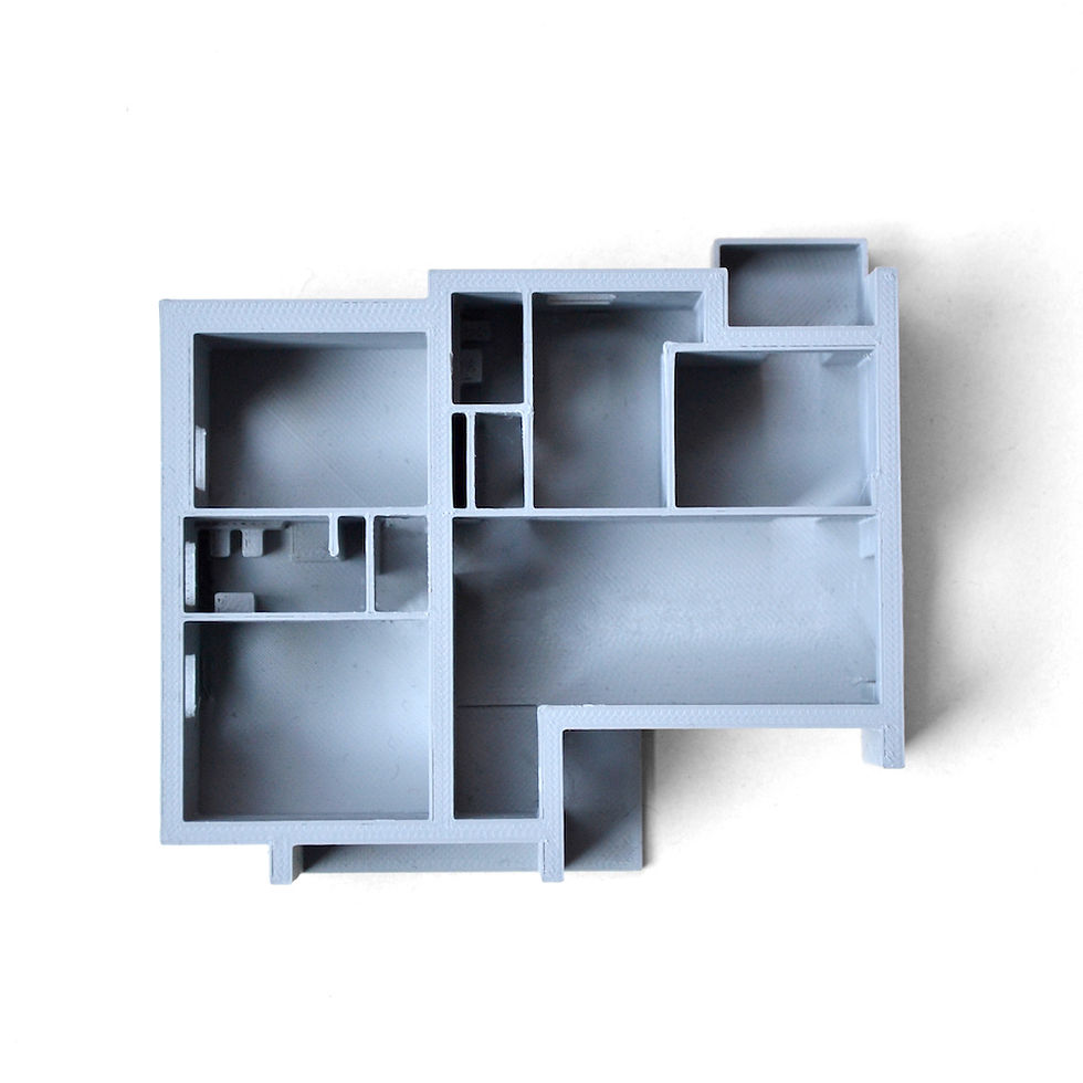 Stampe_3d_Modello_Ristrutturazione