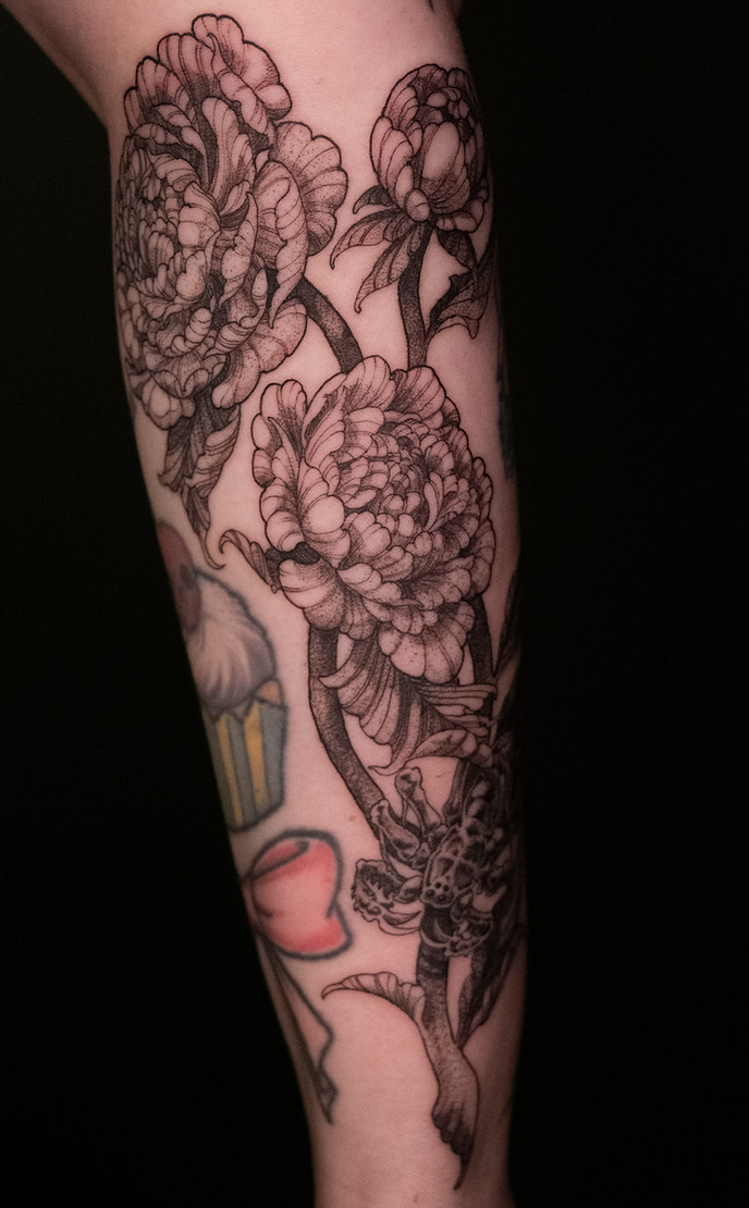 photo 31-1-2026, 5 48 39 pm.jpg