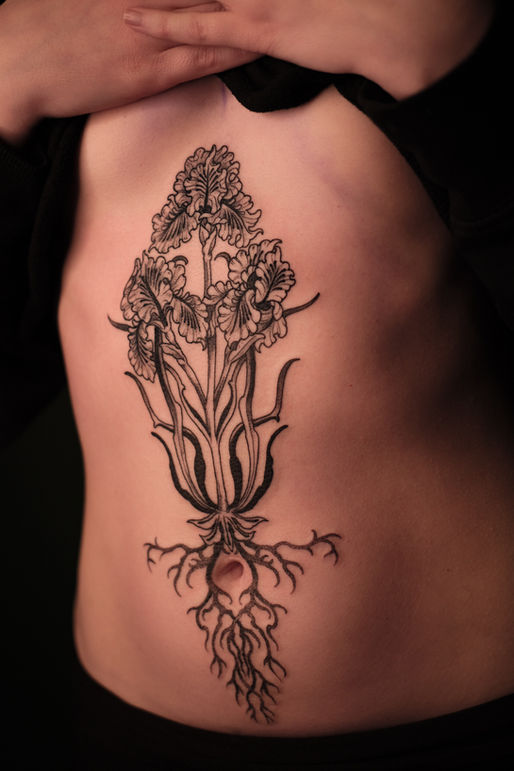 Stomach tattoo with iris florals, fineline blackwork by female tattoo artist Sofie Needles in Stockholm, Sweden