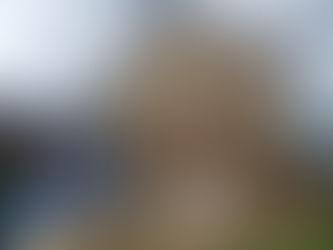 S様邸 建て方が完了しました。2024.0712