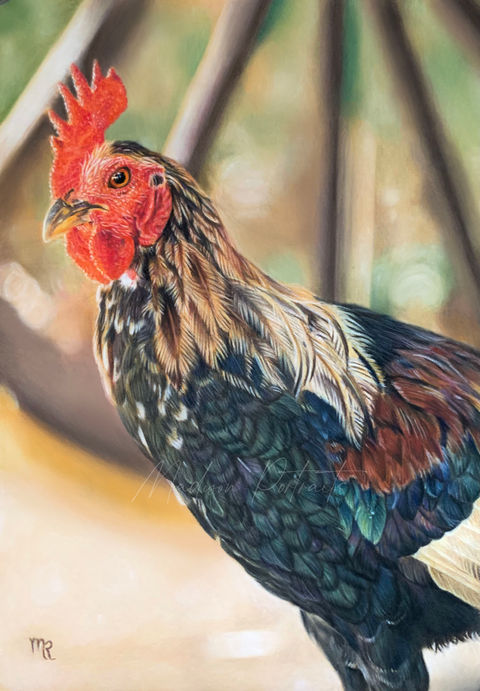 Cockerel.jpg