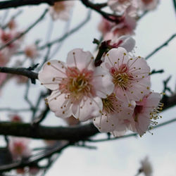 484736472_17949333158938261_2965199342575819781_n