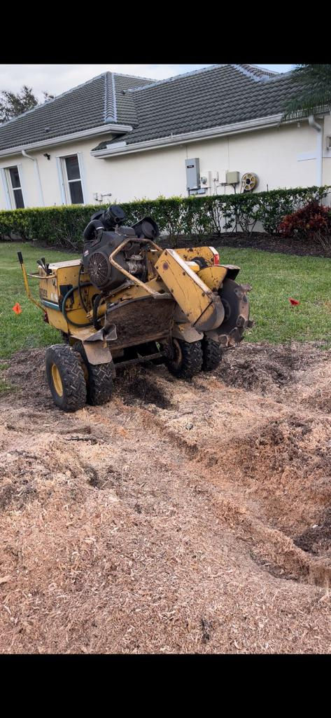 Stump Grinding Services in Sarasota