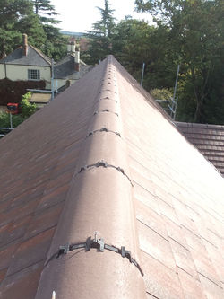 64DCB529-1361-45ED-AF80-B3FFFBC76683.jpe