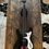 Thumbnail: Mosrite Very Rare Japanese 'The Ventures' Model Piano Black Bass MIJ