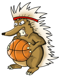 EcHidna