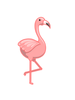 flamingo