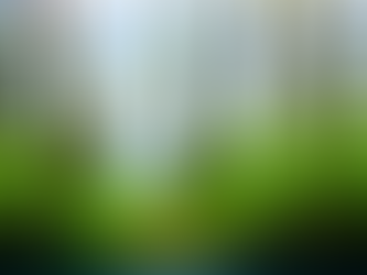 Aquarium Plants Online – Buy Live Aquatic Plants at Blessings Aquarium