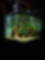 Luxury Aquarium Fish Tank for Business: Create an Elegant Commercial Space