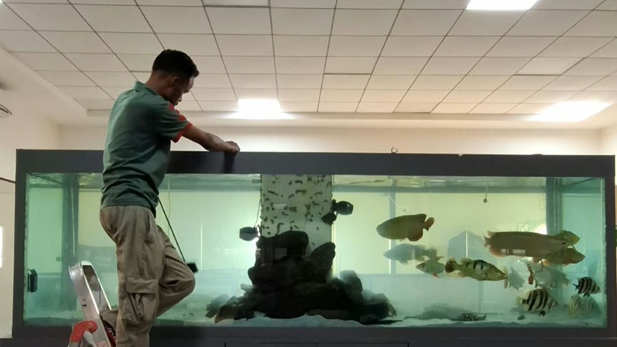 Aquarium Maintenance Tips