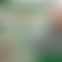 275,878 na benepisyaryo, naitalang natulungan ng AMBaG Program ng Office of the Chief Minister