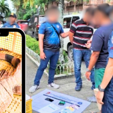  Kalaboso sa Entrapment Operation ang isang lalaki sa Iloilo City matapos magbenta online ng Brazillian Iguana