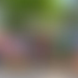 Project TABANG, pinangunahan ang turnover ng tulong at serbisyo ng Office of the Chief Minister