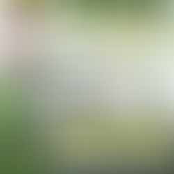 308,934 BENEPISYARYO NG AMBAG Mula December 2019-January 2026 na nakapagtala ng P1.26B total disbursement