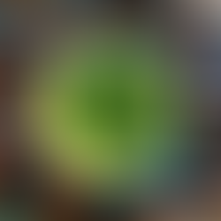 Upang gawing special development at administrative area ang SGA sa ilalim ng direct supervision of the Chief Minister, isinusulong ngayong sa BTA Parliament ang panukala na naglalayong palakasin ang S