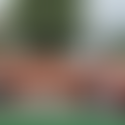 KAPYANAN Program, nakikiisa sa paggunita ng 18-Day Campaign to End VAW