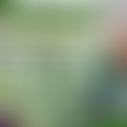 Higit 268,000 Bangsamoro, nabigyan ng libreng tulong medikal sa ilalim ng AMBag Program