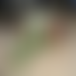 4 mag-anak, patay,1 sugatan sa Matalam, Cotabato matapos pagbabarilin habang naglalakad pauwi sa kanilang tirahan matapos makapag-connect ng wifi sa kapitbahay