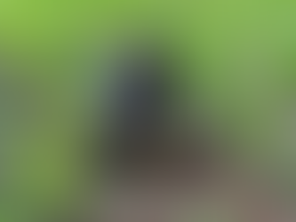 Provincial Government ng Maguindanao del Sur, nanguna sa taunang tree planting activity na hakbang ng pamahalaang panlalawigan sa pangangalaga sa kalikasan at pagsusulong ng isang mas luntian at mas h