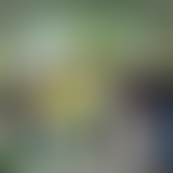 Bagong covered court na may stage, itinurn over ng tanggapan ni BTA Deputy Speaker Omar Yasser Sema at MBHTE sa Barangay Nangi, Upi, Maguindanao del Norte