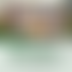 6 rubber clusters sa probinsya ng Basilan, lumagda ng MOU sa pagitan ng Head Sport Philippines