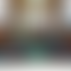 PROPOSED BANGSAMORO TRUST FUND FOR DEVELOPMENT CONTINUITY