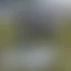 BABAE NA PASAHERO NG BUS, ARESTADO Matapos masamsam ng awtoridad sa checkpoint operation sa Kapatayan, Lanao del Sur nang P126K halaga ng pinaniniwalaang smuggled cigarettes