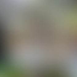 Mahigit 90,000 learning resources, ISAL reference materials, tumblers at armchairs, ipinamahagi ng MBHTE sa mga paaralan sa Basilan at Lanao del Sur