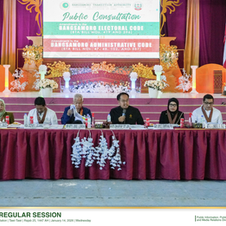 Proposed measure na babaan ang required membership para makabuo ng regional political party at panukala na alisin ang “None of the Above” option sa parliamentary election ballots, tinalakay sa public 