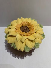 IMG_3795.jpg