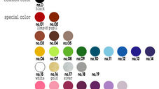 동공 컬러차트 (sample color chart of the Pupil)